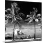Palm Trees overlooking Downtown Miami - Florida-Philippe Hugonnard-Mounted Photographic Print