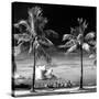 Palm Trees overlooking Downtown Miami - Florida-Philippe Hugonnard-Stretched Canvas