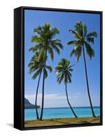 Palm Trees, Port Orly, Island of Espiritu Santo, Vanuatu, South Pacific, Pacific-Michael Runkel-Framed Stretched Canvas