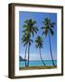 Palm Trees, Port Orly, Island of Espiritu Santo, Vanuatu, South Pacific, Pacific-Michael Runkel-Framed Photographic Print