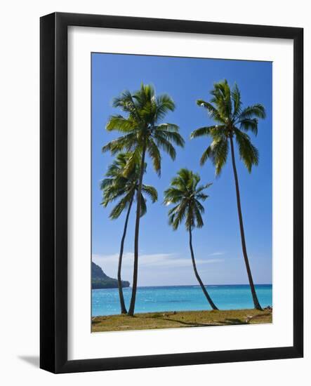 Palm Trees, Port Orly, Island of Espiritu Santo, Vanuatu, South Pacific, Pacific-Michael Runkel-Framed Photographic Print