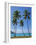 Palm Trees, Port Orly, Island of Espiritu Santo, Vanuatu, South Pacific, Pacific-Michael Runkel-Framed Photographic Print