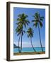 Palm Trees, Port Orly, Island of Espiritu Santo, Vanuatu, South Pacific, Pacific-Michael Runkel-Framed Photographic Print