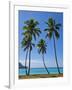 Palm Trees, Port Orly, Island of Espiritu Santo, Vanuatu, South Pacific, Pacific-Michael Runkel-Framed Photographic Print