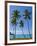 Palm Trees, Port Orly, Island of Espiritu Santo, Vanuatu, South Pacific, Pacific-Michael Runkel-Framed Photographic Print