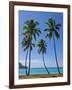 Palm Trees, Port Orly, Island of Espiritu Santo, Vanuatu, South Pacific, Pacific-Michael Runkel-Framed Photographic Print