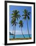 Palm Trees, Port Orly, Island of Espiritu Santo, Vanuatu, South Pacific, Pacific-Michael Runkel-Framed Photographic Print