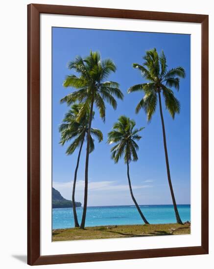 Palm Trees, Port Orly, Island of Espiritu Santo, Vanuatu, South Pacific, Pacific-Michael Runkel-Framed Photographic Print