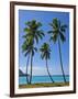 Palm Trees, Port Orly, Island of Espiritu Santo, Vanuatu, South Pacific, Pacific-Michael Runkel-Framed Photographic Print