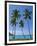 Palm Trees, Port Orly, Island of Espiritu Santo, Vanuatu, South Pacific, Pacific-Michael Runkel-Framed Photographic Print