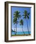 Palm Trees, Port Orly, Island of Espiritu Santo, Vanuatu, South Pacific, Pacific-Michael Runkel-Framed Photographic Print