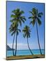 Palm Trees, Port Orly, Island of Espiritu Santo, Vanuatu, South Pacific, Pacific-Michael Runkel-Mounted Photographic Print