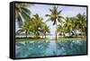 Palm Trees Reflect In The Pool At The Four Seasons Bora Bora-Karine Aigner-Framed Stretched Canvas