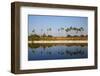 Palm Trees Reflected in the Moat of the Fortified Palace-Tuul-Framed Photographic Print