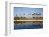 Palm Trees Reflected in the Moat of the Fortified Palace-Tuul-Framed Photographic Print