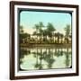 Palm Trees Reflected in Water, India, Late 19th or Early 20th Century-null-Framed Giclee Print