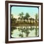 Palm Trees Reflected in Water, India, Late 19th or Early 20th Century-null-Framed Giclee Print