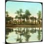 Palm Trees Reflected in Water, India, Late 19th or Early 20th Century-null-Mounted Giclee Print