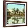 Palm Trees Reflected in Water, India, Late 19th or Early 20th Century-null-Framed Giclee Print