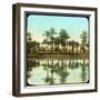 Palm Trees Reflected in Water, India, Late 19th or Early 20th Century-null-Framed Giclee Print