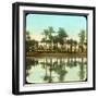 Palm Trees Reflected in Water, India, Late 19th or Early 20th Century-null-Framed Giclee Print