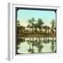 Palm Trees Reflected in Water, India, Late 19th or Early 20th Century-null-Framed Giclee Print