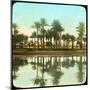 Palm Trees Reflected in Water, India, Late 19th or Early 20th Century-null-Mounted Giclee Print