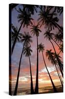 Palm Trees, Royal Kamehameha Coconut Palm Grove, Molokai, Hawaii, USA-Charles Gurche-Stretched Canvas