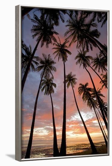 Palm Trees, Royal Kamehameha Coconut Palm Grove, Molokai, Hawaii, USA-Charles Gurche-Framed Photographic Print