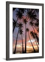 Palm Trees, Royal Kamehameha Coconut Palm Grove, Molokai, Hawaii, USA-Charles Gurche-Framed Photographic Print