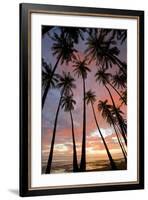 Palm Trees, Royal Kamehameha Coconut Palm Grove, Molokai, Hawaii, USA-Charles Gurche-Framed Photographic Print