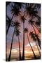 Palm Trees, Royal Kamehameha Coconut Palm Grove, Molokai, Hawaii, USA-Charles Gurche-Stretched Canvas