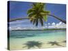 Palm Trees, Shangri-La Fijian Resort, Yanuca Island, Coral Coast, Viti Levu, Fiji, South Pacific-David Wall-Stretched Canvas