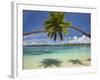 Palm Trees, Shangri-La Fijian Resort, Yanuca Island, Coral Coast, Viti Levu, Fiji, South Pacific-David Wall-Framed Photographic Print