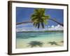 Palm Trees, Shangri-La Fijian Resort, Yanuca Island, Coral Coast, Viti Levu, Fiji, South Pacific-David Wall-Framed Photographic Print