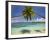 Palm Trees, Shangri-La Fijian Resort, Yanuca Island, Coral Coast, Viti Levu, Fiji, South Pacific-David Wall-Framed Photographic Print