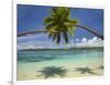 Palm Trees, Shangri-La Fijian Resort, Yanuca Island, Coral Coast, Viti Levu, Fiji, South Pacific-David Wall-Framed Photographic Print