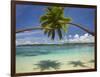 Palm Trees, Shangri-La Fijian Resort, Yanuca Island, Coral Coast, Viti Levu, Fiji, South Pacific-David Wall-Framed Photographic Print