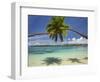 Palm Trees, Shangri-La Fijian Resort, Yanuca Island, Coral Coast, Viti Levu, Fiji, South Pacific-David Wall-Framed Photographic Print