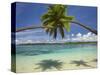 Palm Trees, Shangri-La Fijian Resort, Yanuca Island, Coral Coast, Viti Levu, Fiji, South Pacific-David Wall-Stretched Canvas