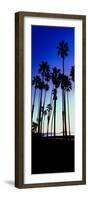 Palm Trees Silhouette at Sunrise, Santa Barbara, California, USA-null-Framed Photographic Print