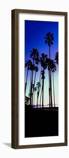 Palm Trees Silhouette at Sunrise, Santa Barbara, California, USA-null-Framed Photographic Print