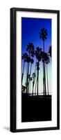 Palm Trees Silhouette at Sunrise, Santa Barbara, California, USA-null-Framed Photographic Print