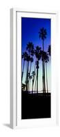 Palm Trees Silhouette at Sunrise, Santa Barbara, California, USA-null-Framed Photographic Print