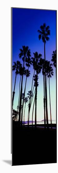 Palm Trees Silhouette at Sunrise, Santa Barbara, California, USA-null-Mounted Photographic Print