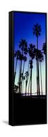 Palm Trees Silhouette at Sunrise, Santa Barbara, California, USA-null-Framed Stretched Canvas