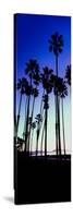 Palm Trees Silhouette at Sunrise, Santa Barbara, California, USA-null-Stretched Canvas