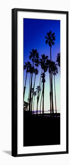 Palm Trees Silhouette at Sunrise, Santa Barbara, California, USA-null-Framed Photographic Print