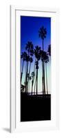 Palm Trees Silhouette at Sunrise, Santa Barbara, California, USA-null-Framed Photographic Print