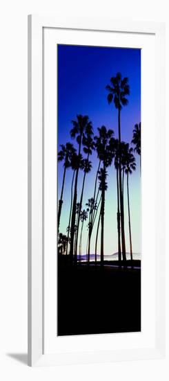 Palm Trees Silhouette at Sunrise, Santa Barbara, California, USA-null-Framed Photographic Print